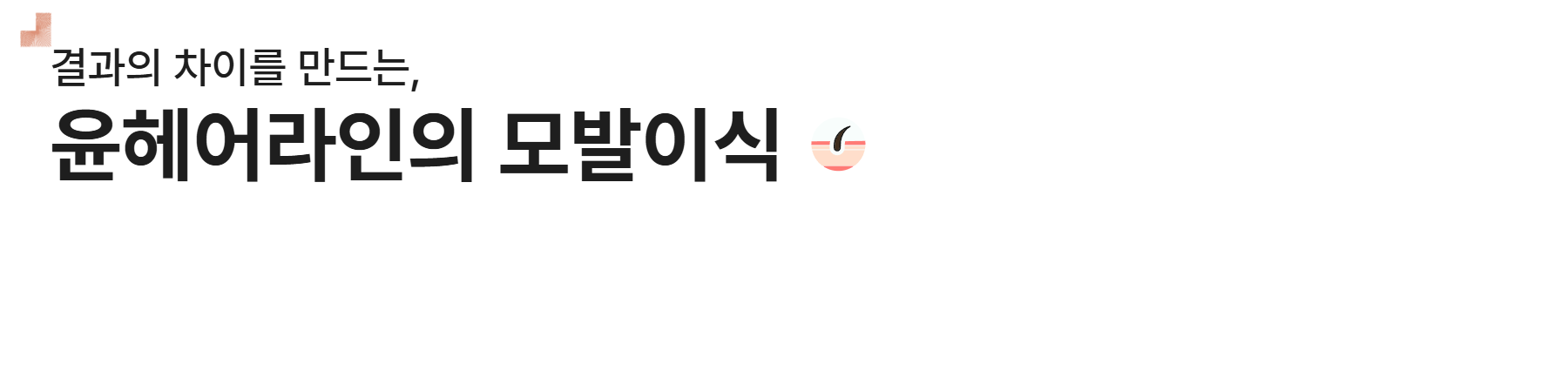 윤헤어라인의 모발이식 메뉴